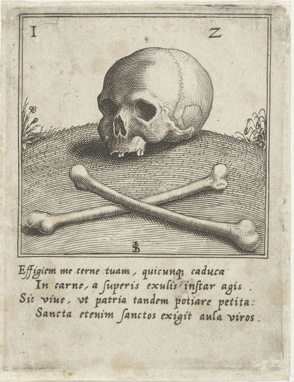 Bir kafatası ve iki kemik ile Vanitas Tasviri by Johann Sadeler (I)