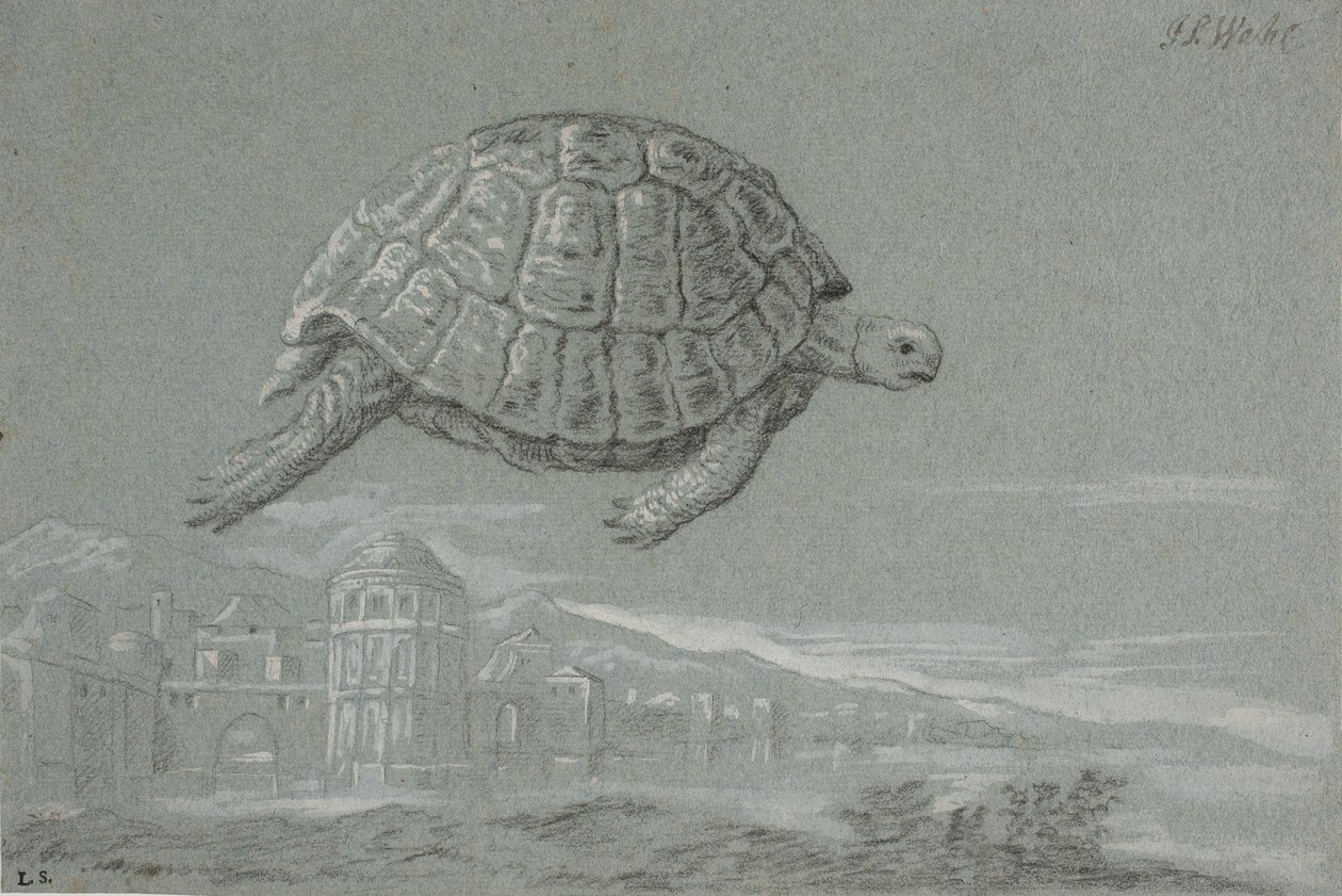 Bir kaplumbağanın incelenmesi ve deniz kenarında müstahkem bir şehir beklentisi (Venedik) by Johann Salomon Wahl