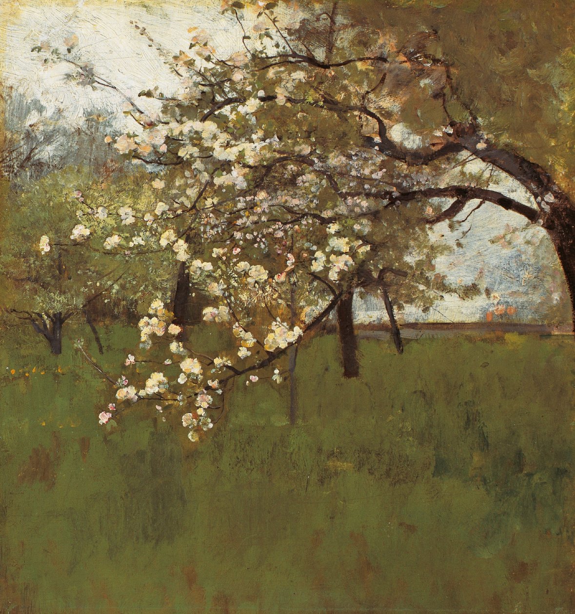  by Johann Sperl