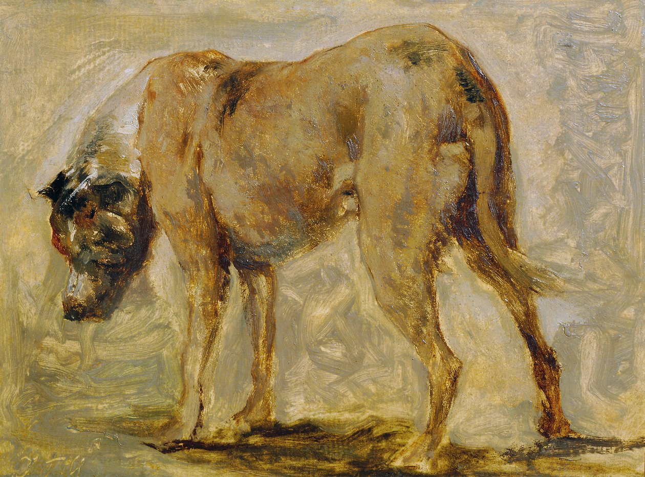 Kahverengi Danua by Johann  Till der Jüngere