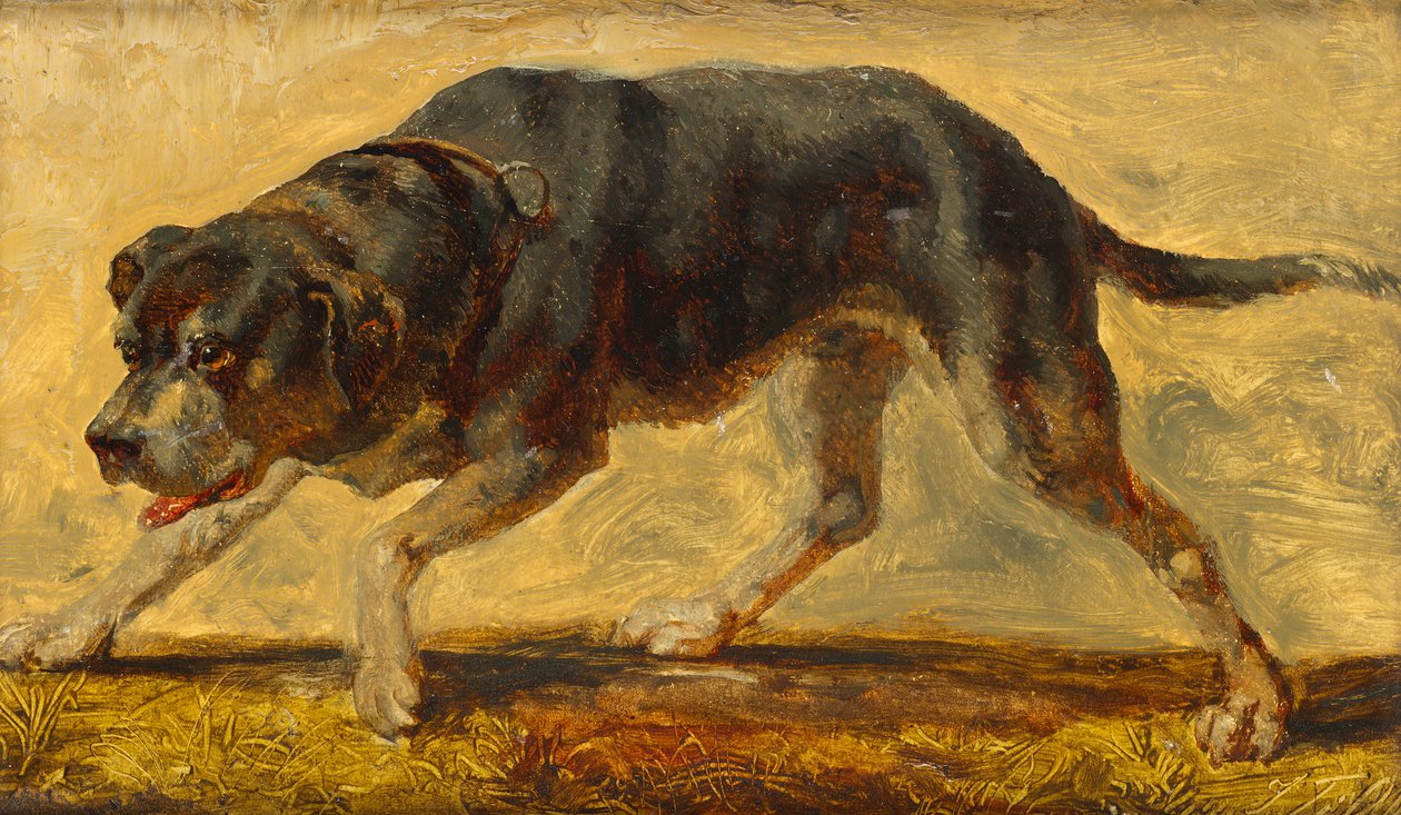 köpek çalışması by Johann  Till der Jüngere