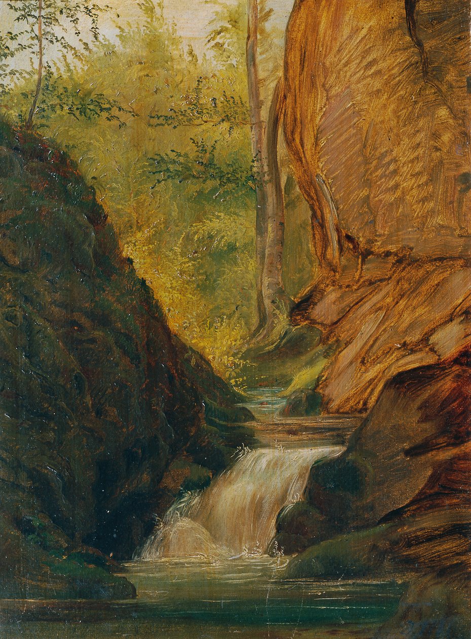 Waldbach by Johann  Till der Jüngere