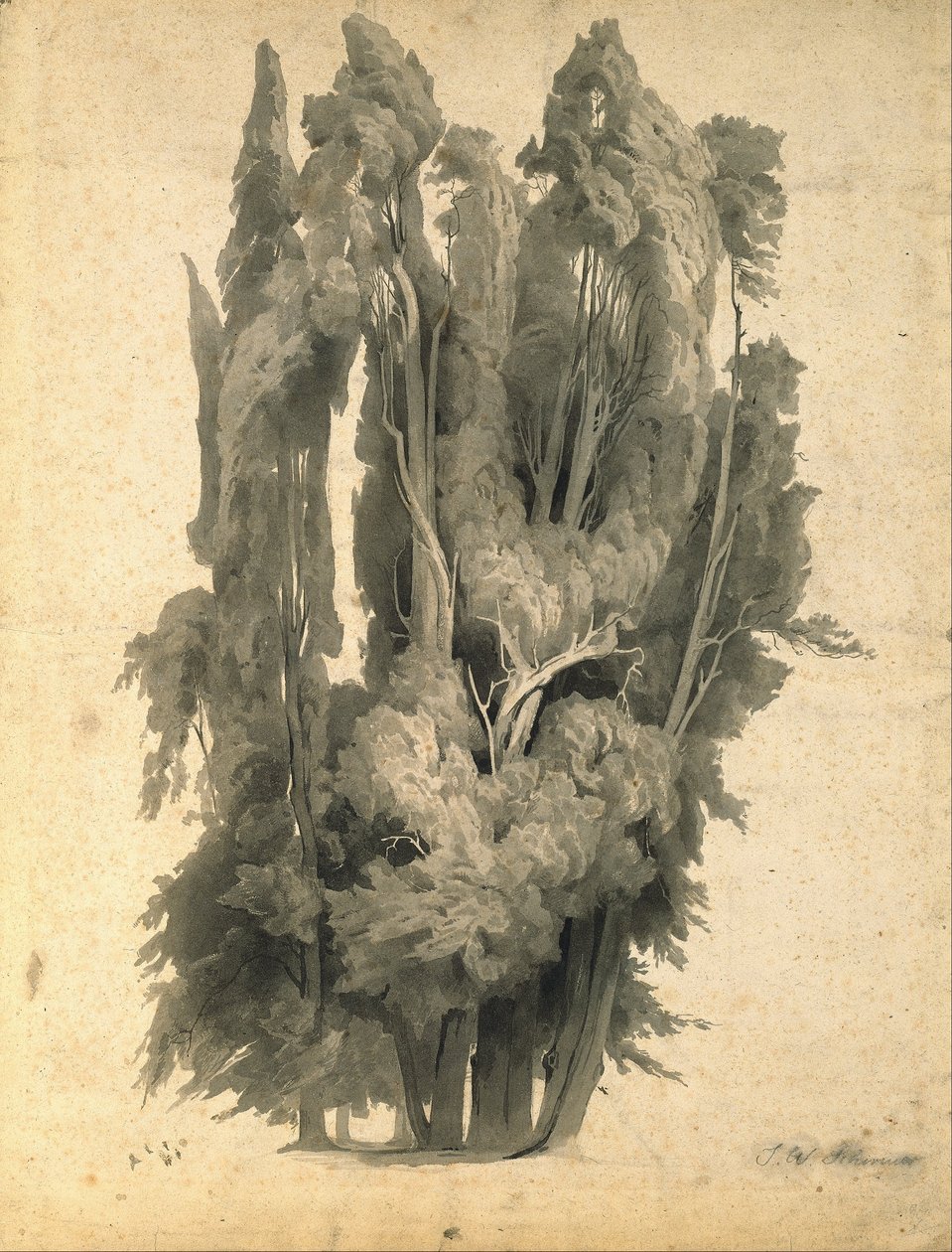  by Johann Wilhelm Schirmer