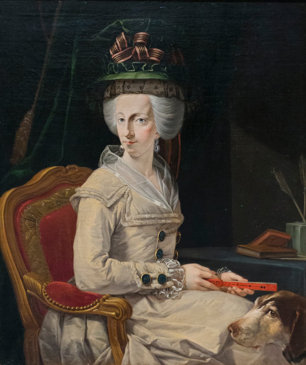 by Johann Zoffany