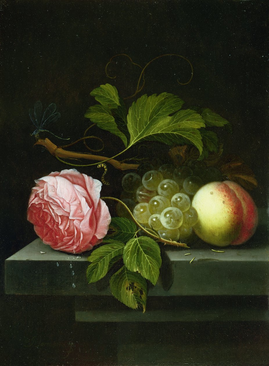 Gül, Üzüm ve Şeftali ile Natürmort, 17. yüzyıl by Johannes Borman