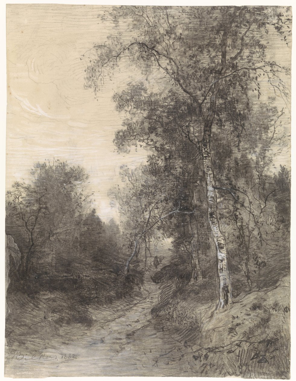 Ormanda Görüntüle by Johannes Warnardus Bilders