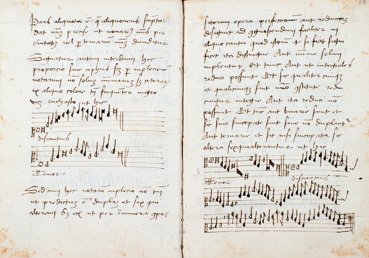 Johannes Tinctoris