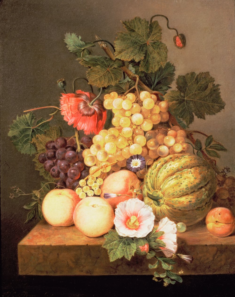 Meyve ile natürmort by Johannes Cornelis Bruyn