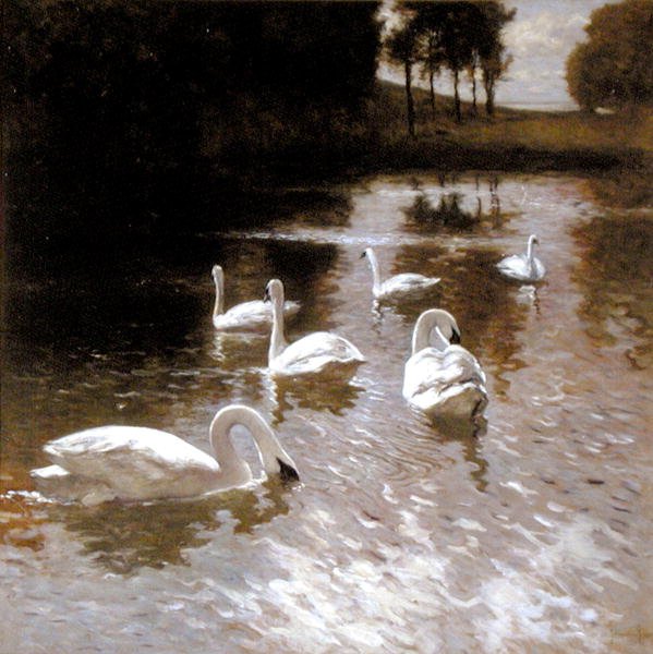 Göldeki kuğular, 1890 dolayları (tuval üzerine yağlı boya) by Johannes Cornelis van Essen