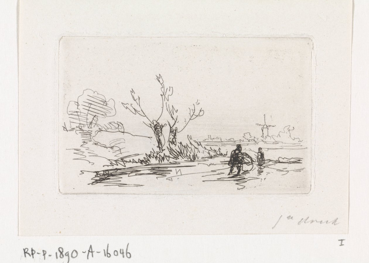 Pollard Willows
