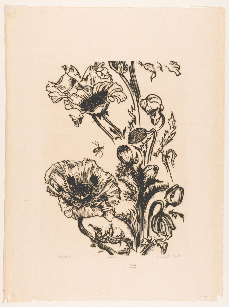 Çalışma gelincikleri (nesne üzerindeki orijinal başlık) by Johannes Frederik Engelbert ten Klooster (signed by artist)