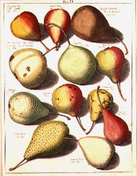 Armut, Seligman by Johannes Hendrik (after) Knoop