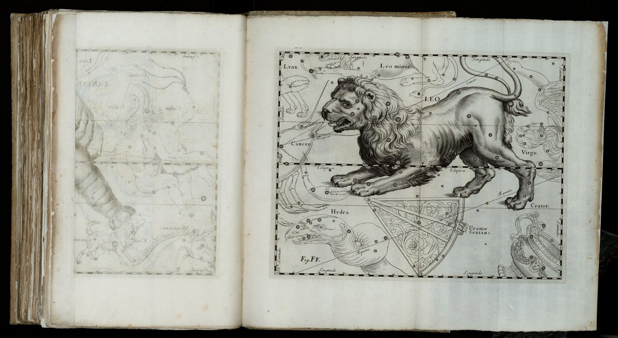Aslan (takımyıldız), "astronominin Prodromus