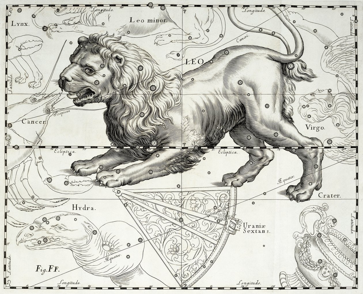 Aslan, Aslan takımyıldızı, Johann Hevelius