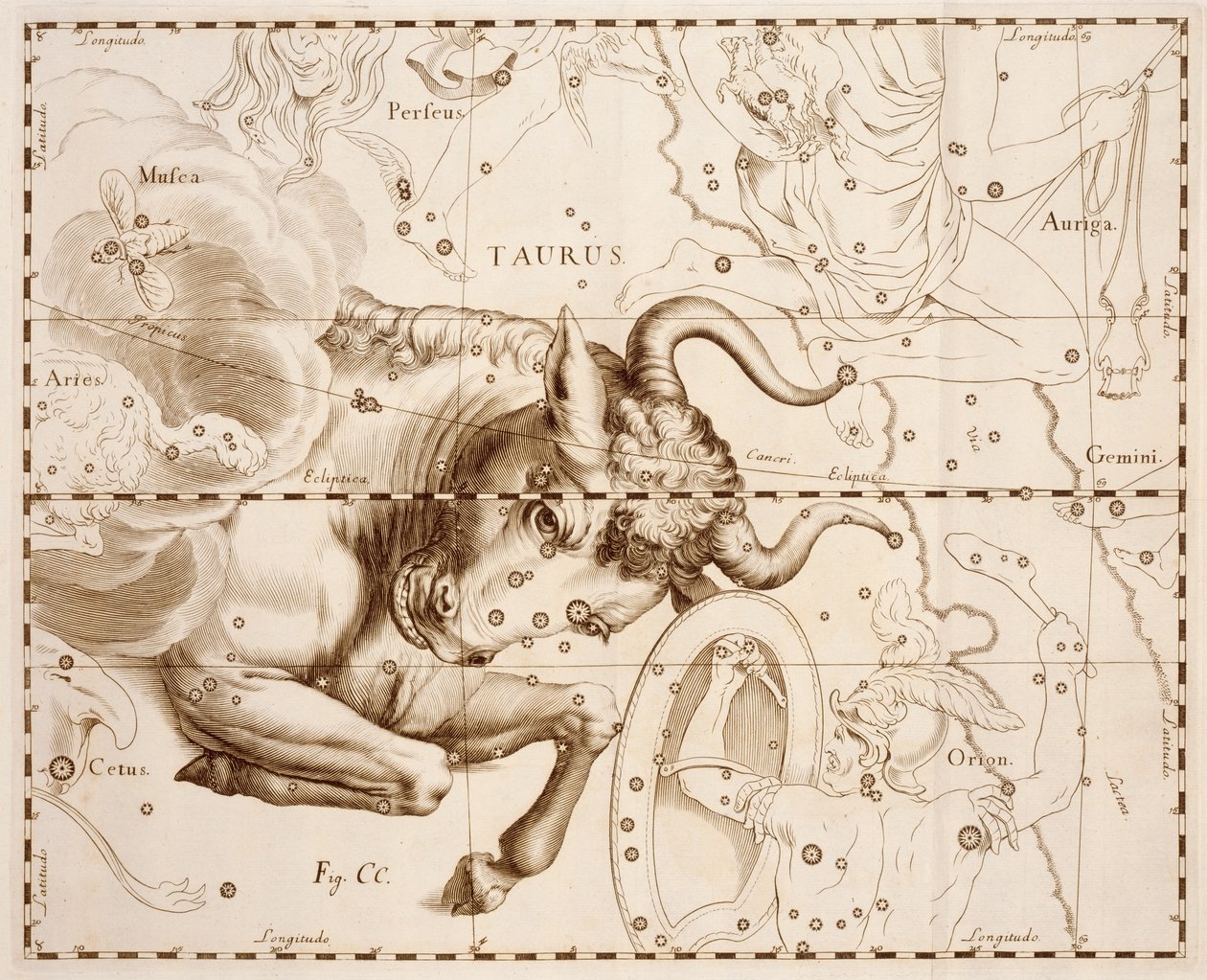 Boğa (burç), Firmamentum Sobiescianum sive Uranographia