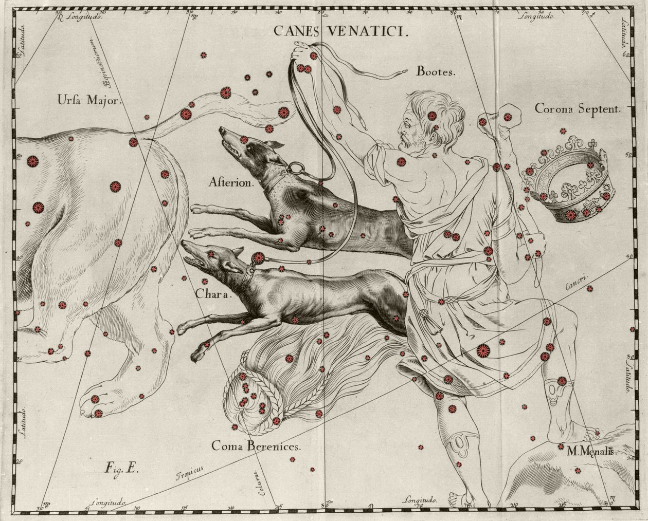 Takımyıldız Canes Venatici, Av Köpekleri. Johannes Hevelius veya Hevel (1611-1687) tarafından “” Firmamentum Sobiescanum sive Uranographia”dan çizilmiş plaka by Johannes Hevelius