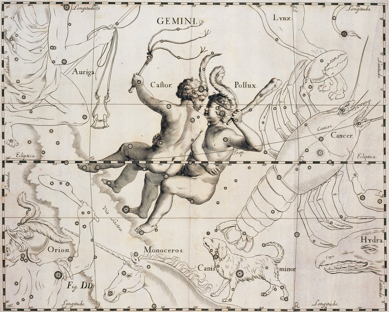İkizler takımyıldızı, Firmamentum Sobiescianum sive Uranographia