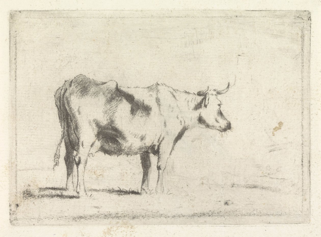 İnek, sağa by Johannes Janson (possibly)