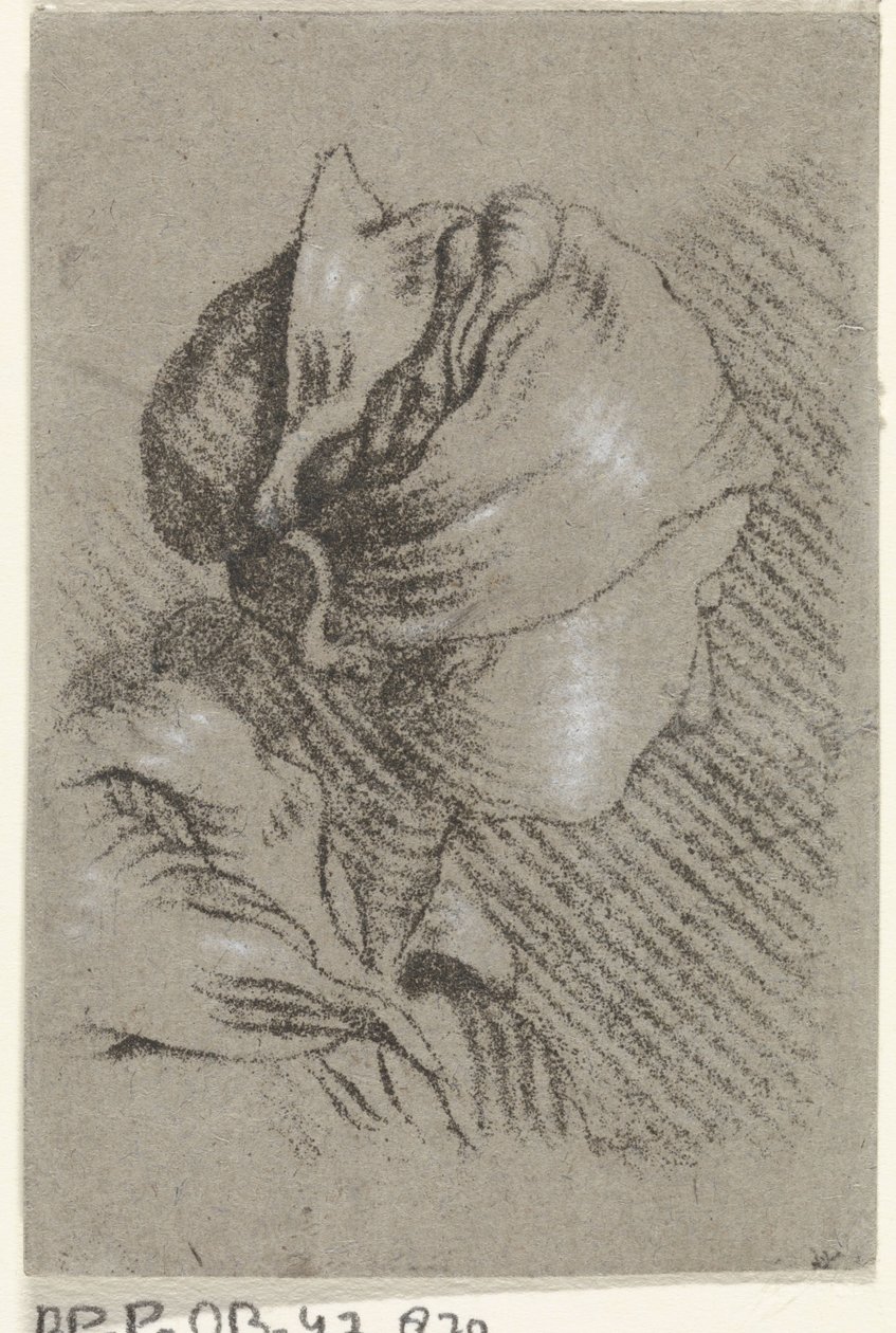kadın büstü by Johannes Janson (possibly)