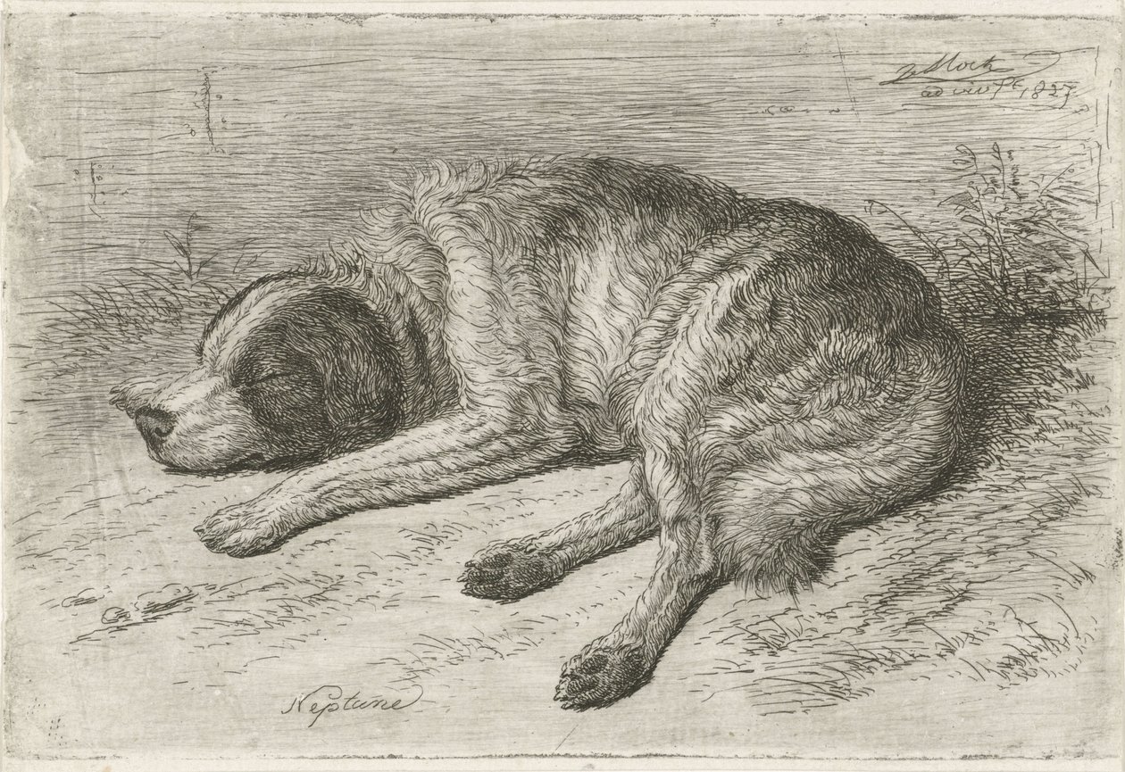 Soldaki uyuyan köpek Neptün (nesne üzerindeki başlık) by Johannes Mock