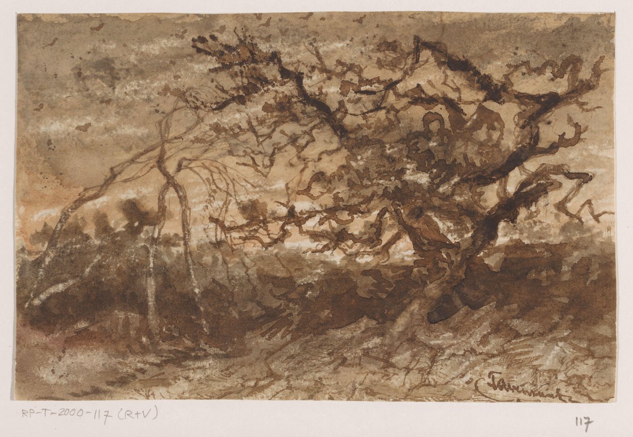 gün batımında ağaç by Johannes Tavenraat (signed by artist)