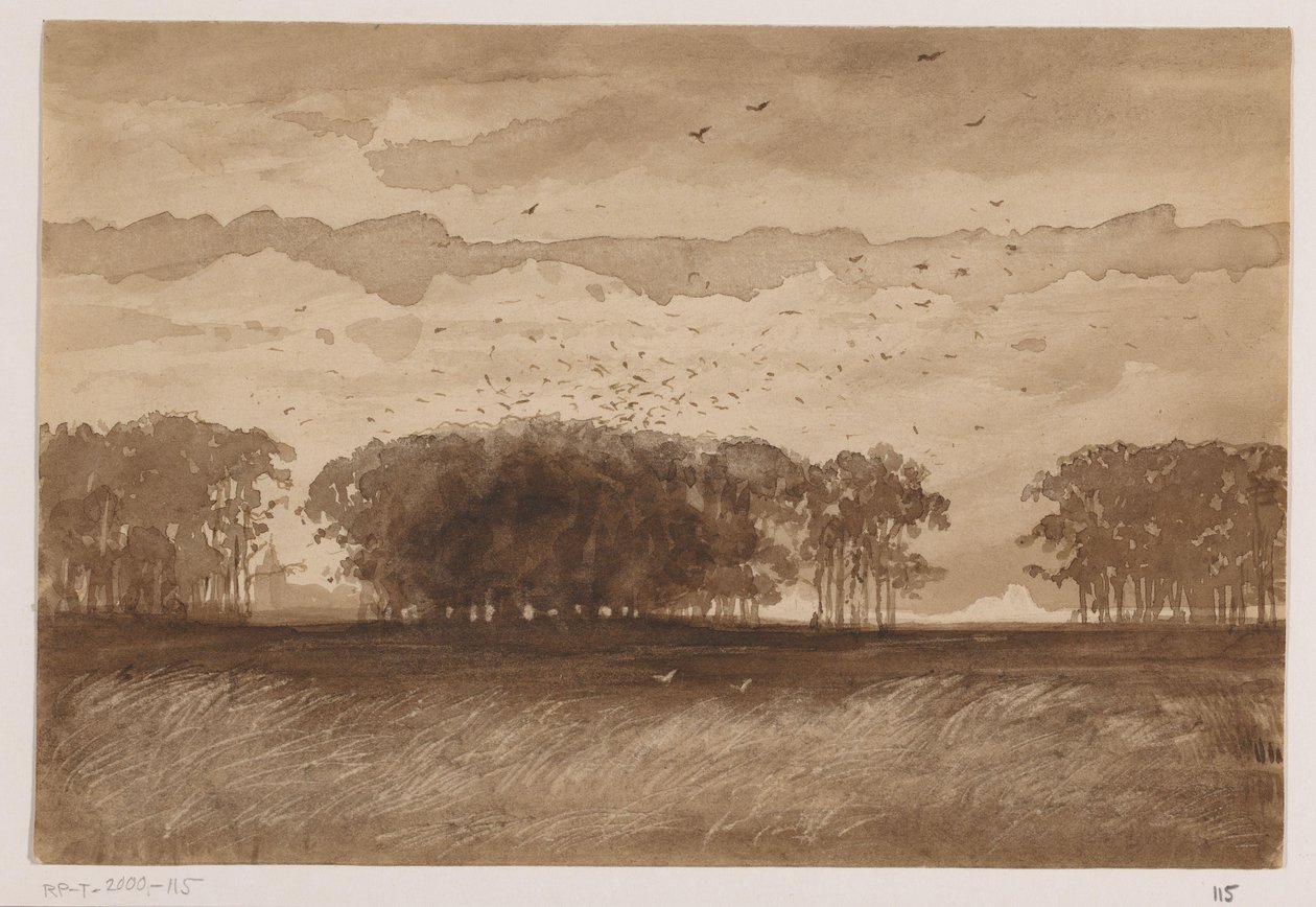 Kuzey Brabant