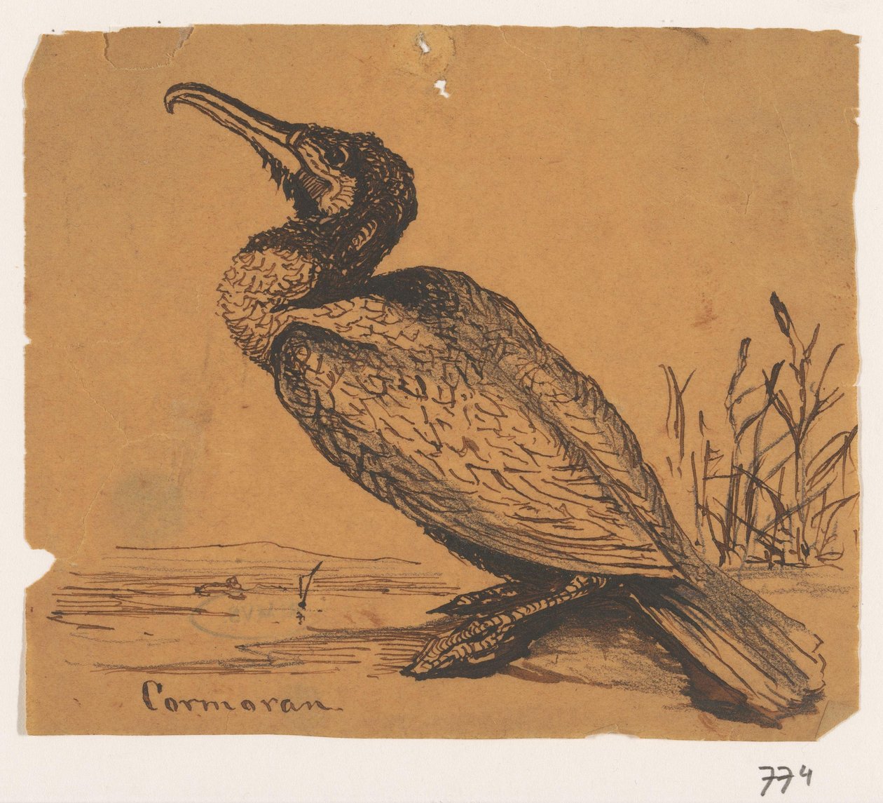 Karabatak Cormoran (nesne üzerindeki başlık) by Johannes Tavenraat