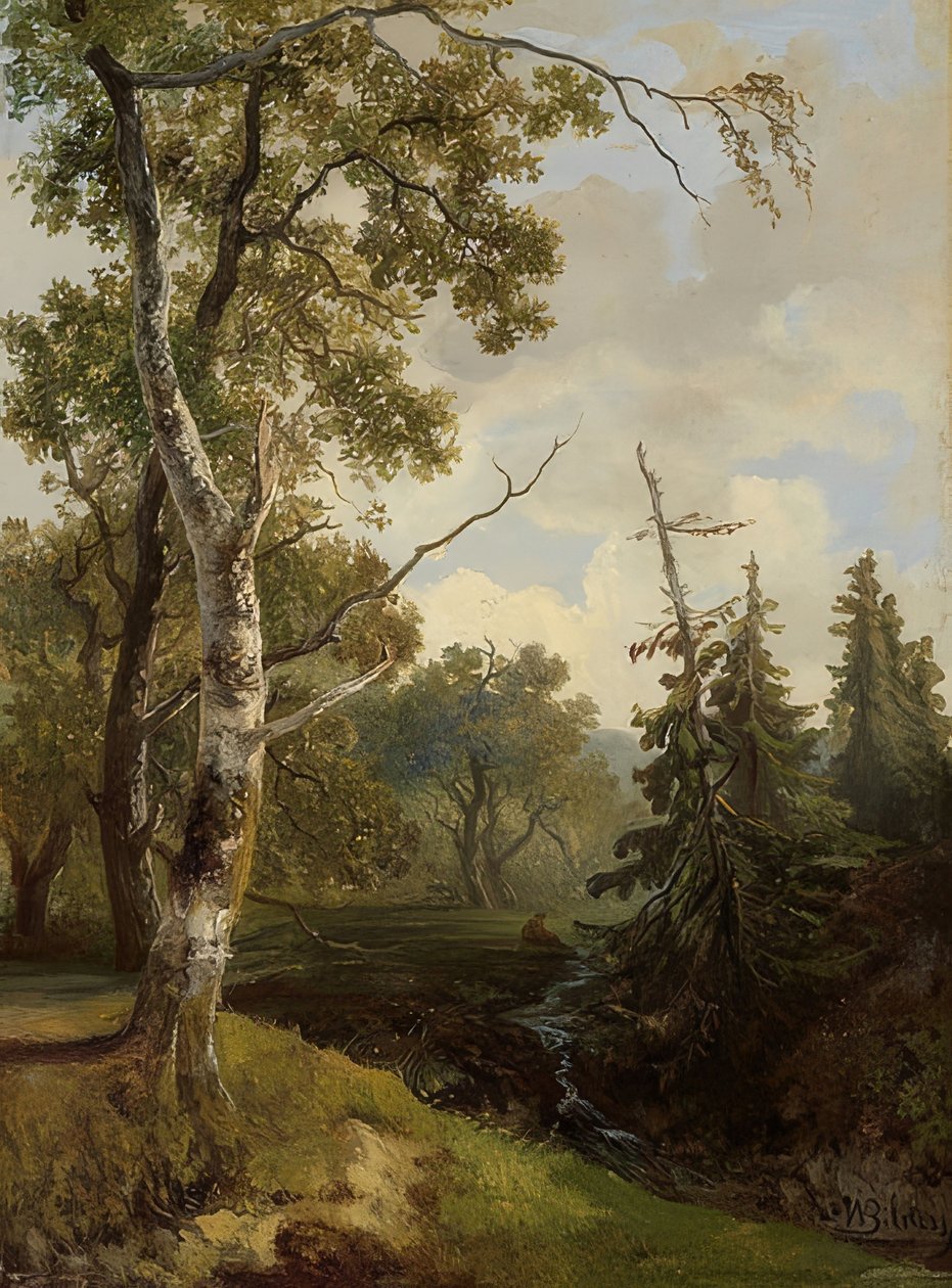 Waldstück bei Wolfheze (Wolfheze