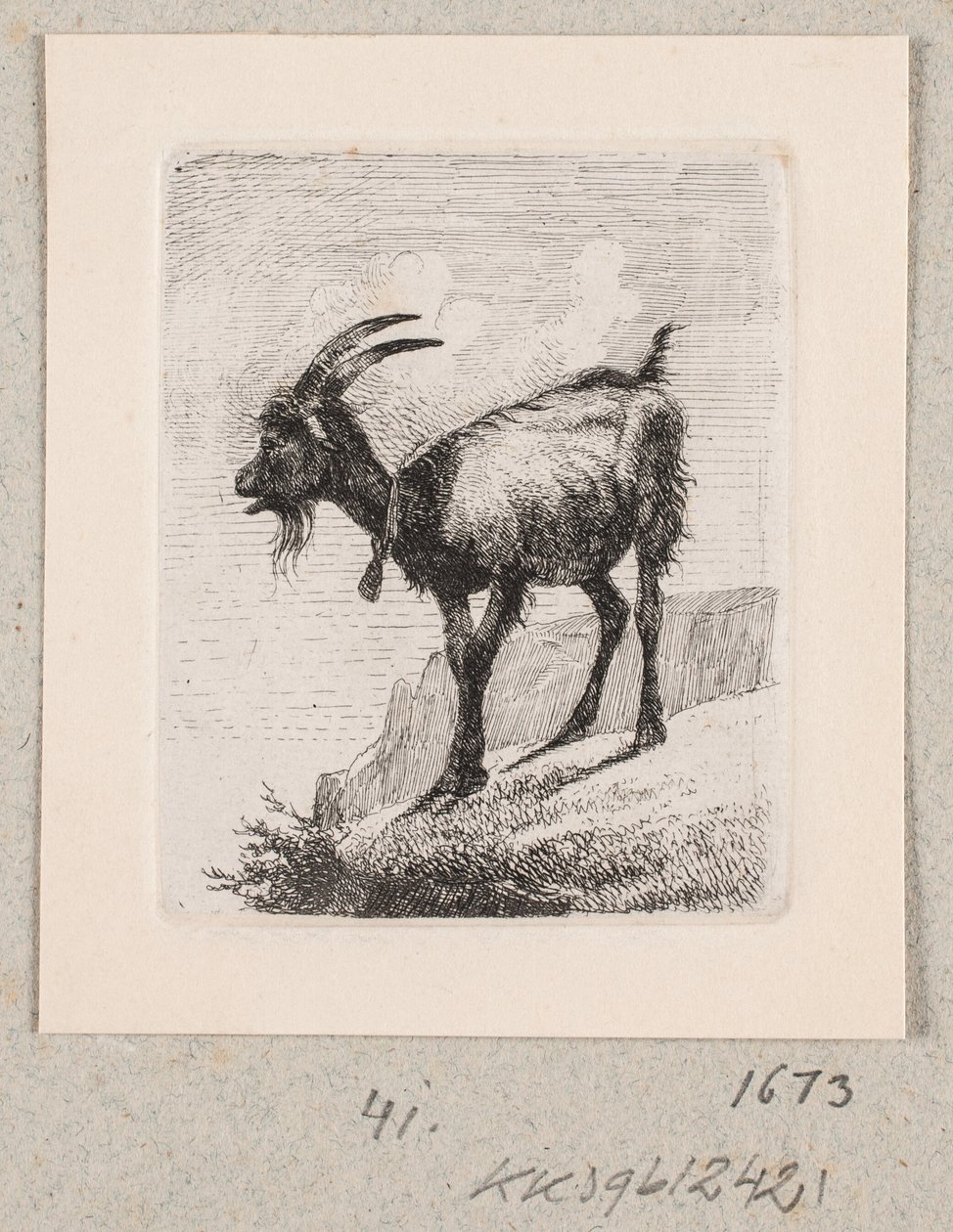 Bir çan ile bir keçi by Johannes Wilhelm Zillen