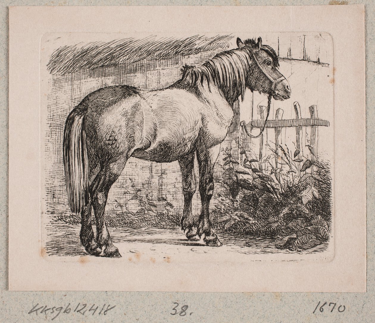Bir yular ile bir at by Johannes Wilhelm Zillen
