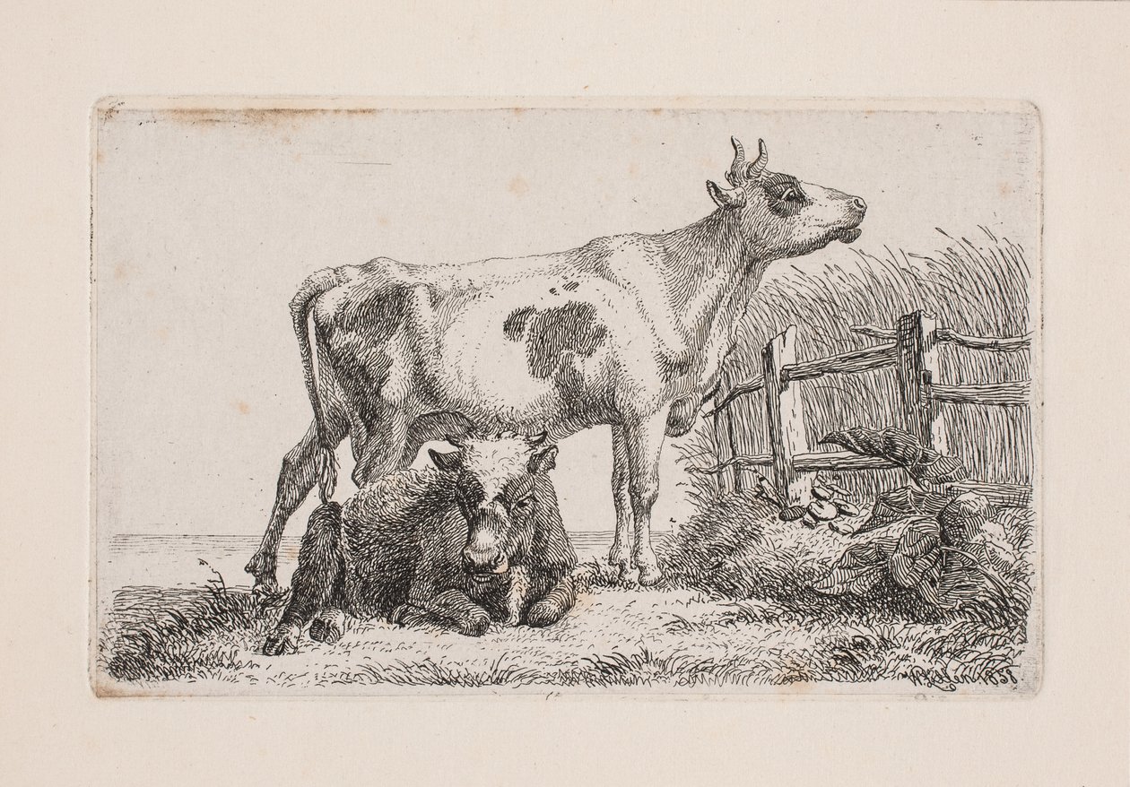 Dinlenme ve ayakta inek by Johannes Wilhelm Zillen