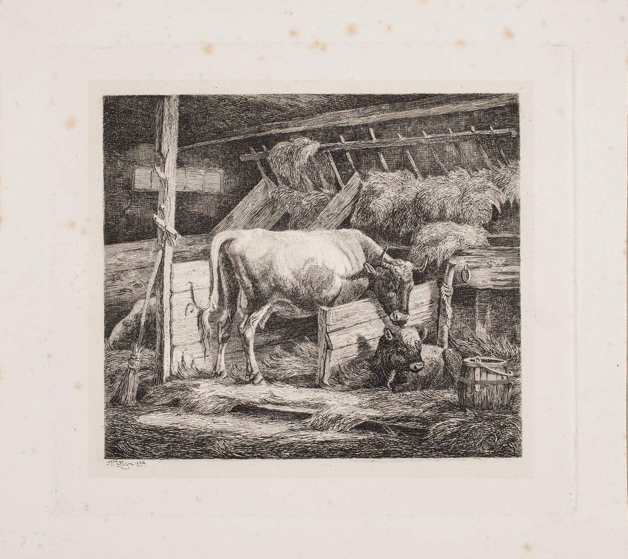 bir kostal by Johannes Wilhelm Zillen