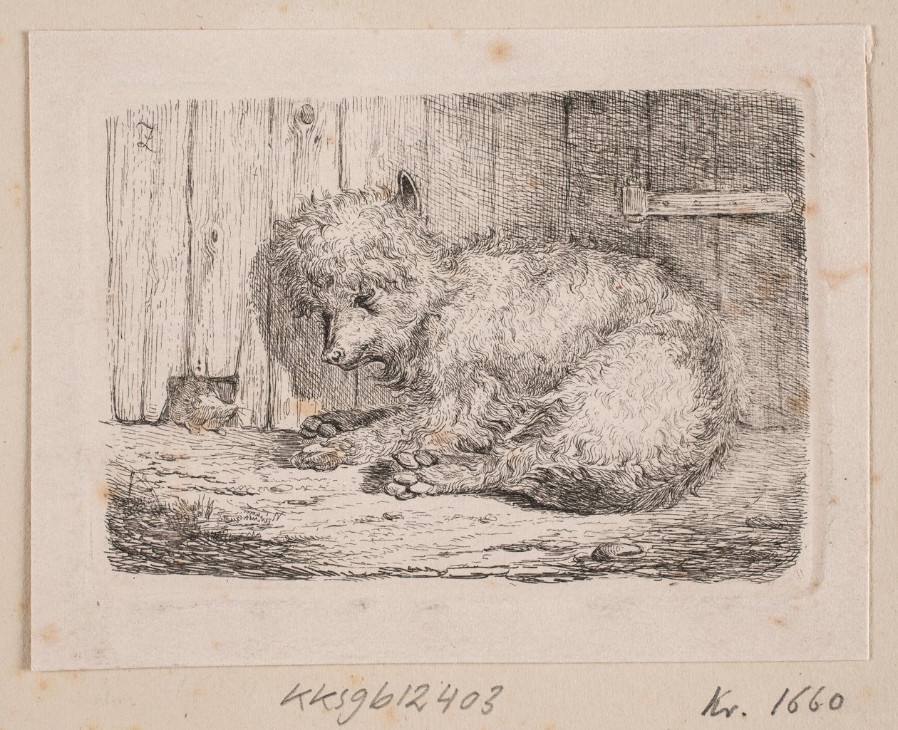 Uzun tüylü bir köpek by Johannes Wilhelm Zillen
