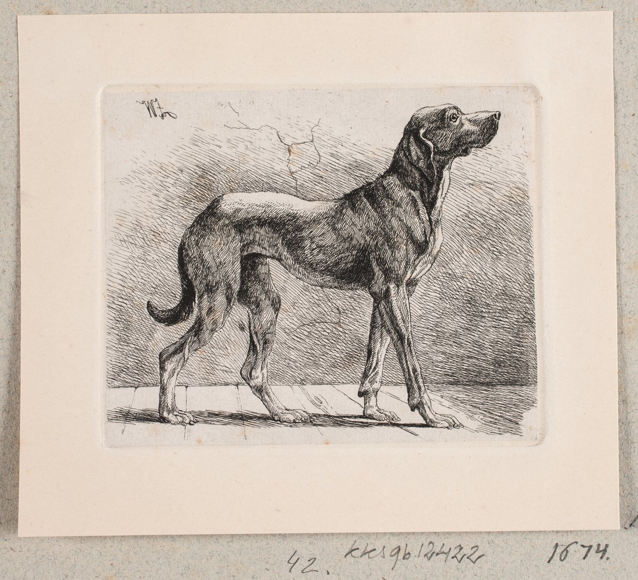 Ayakta duran bir köpek by Johannes Wilhelm Zillen