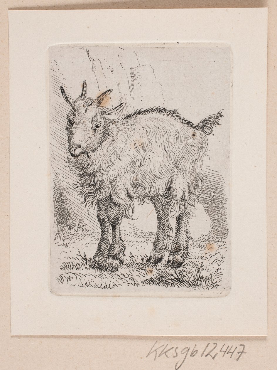 o gedekid by Johannes Wilhelm Zillen