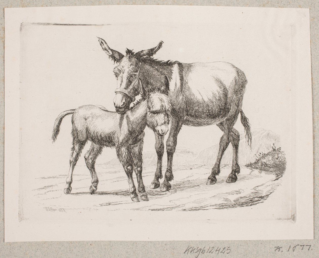 Tayıyla bir eşek by Johannes Wilhelm Zillen