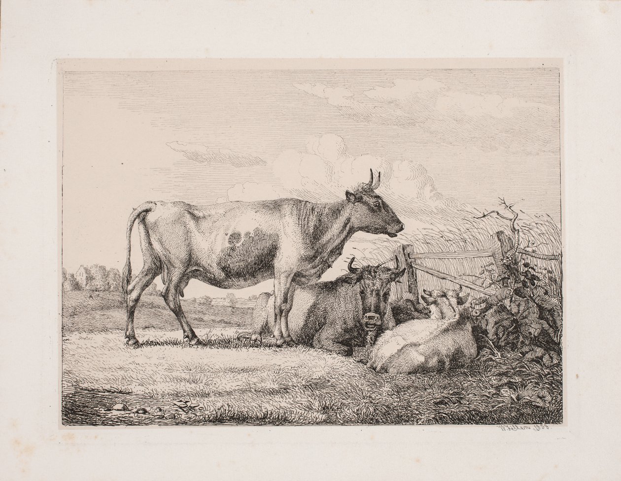 Tarladaki inekler by Johannes Wilhelm Zillen
