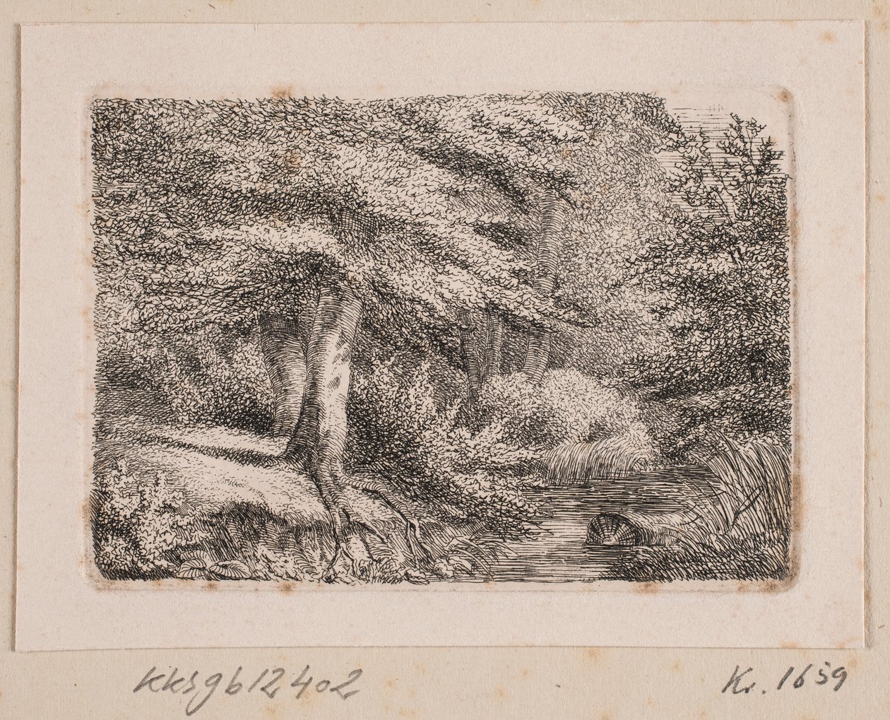 Skovparti by Johannes Wilhelm Zillen