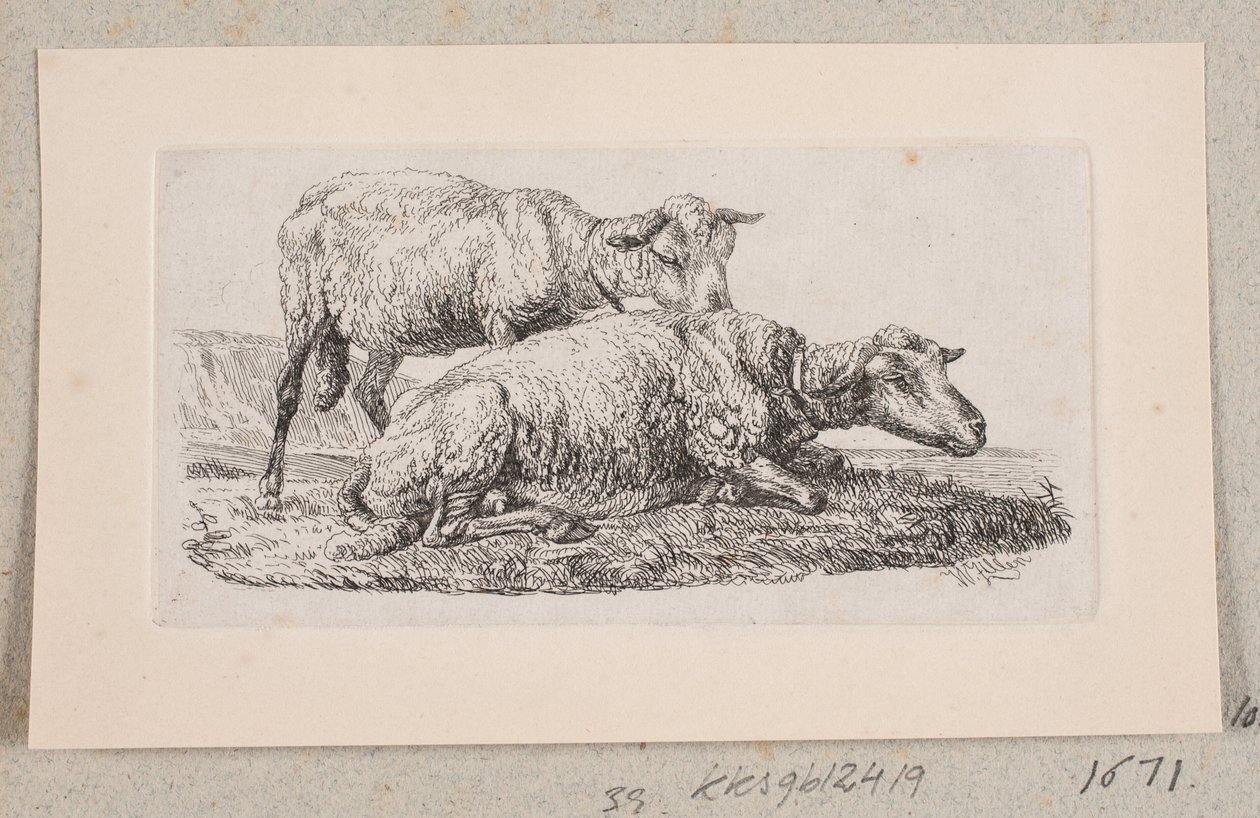 iki koyun by Johannes Wilhelm Zillen
