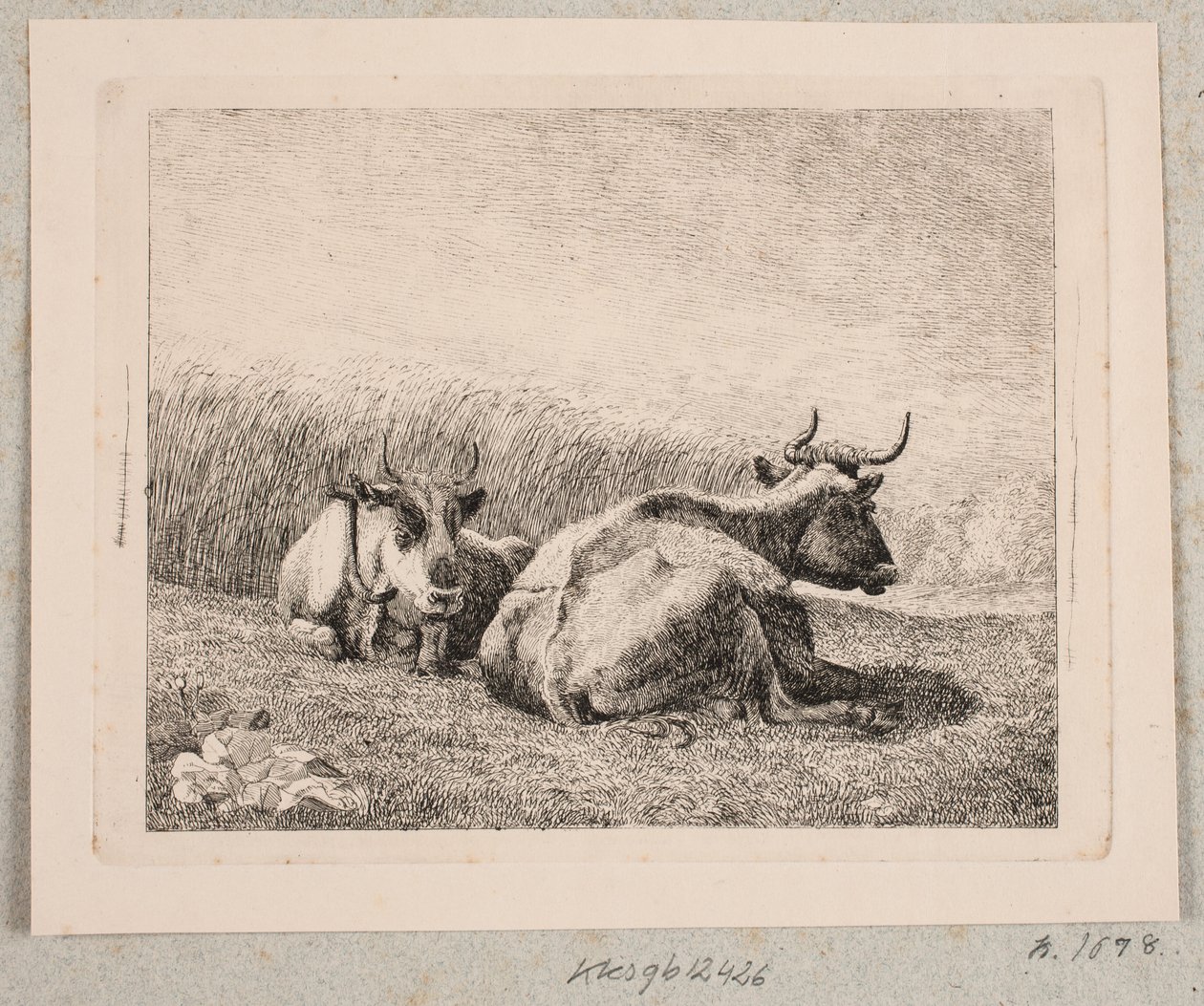 iki dinlenme inek by Johannes Wilhelm Zillen