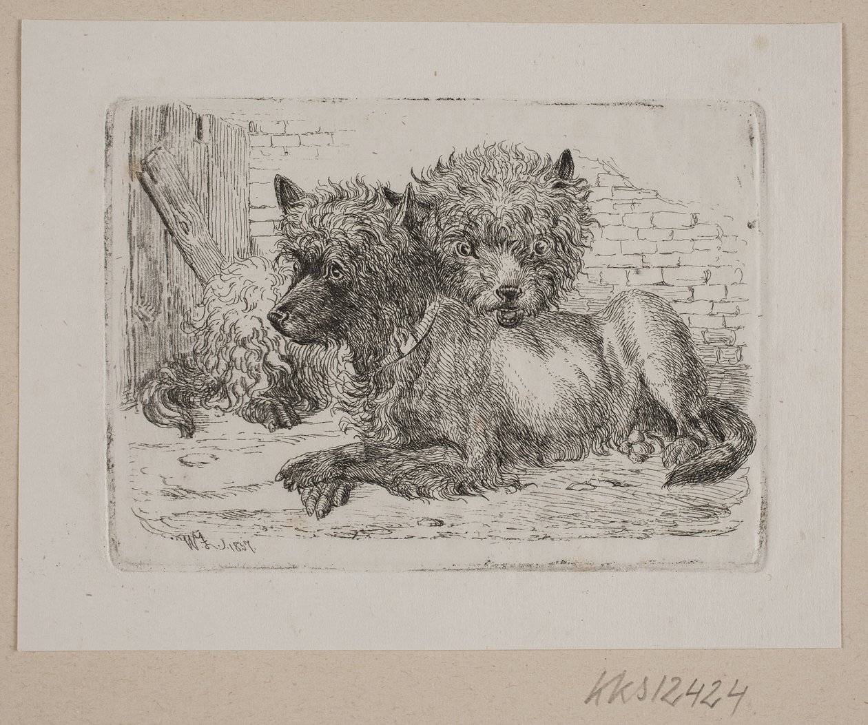 iki yalancı köpek by Johannes Wilhelm Zillen