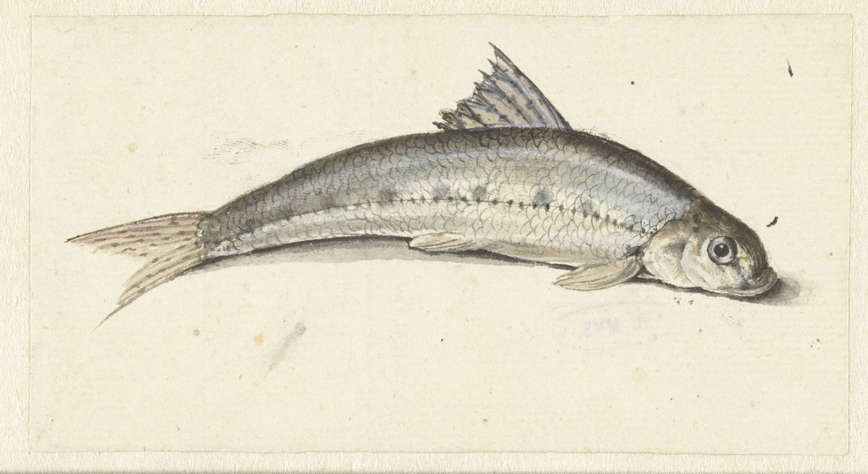 gondol by Johannes le Francq van Berkhey
