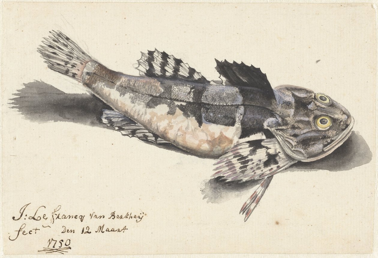 Deniz yatağı by Johannes le Francq van Berkhey