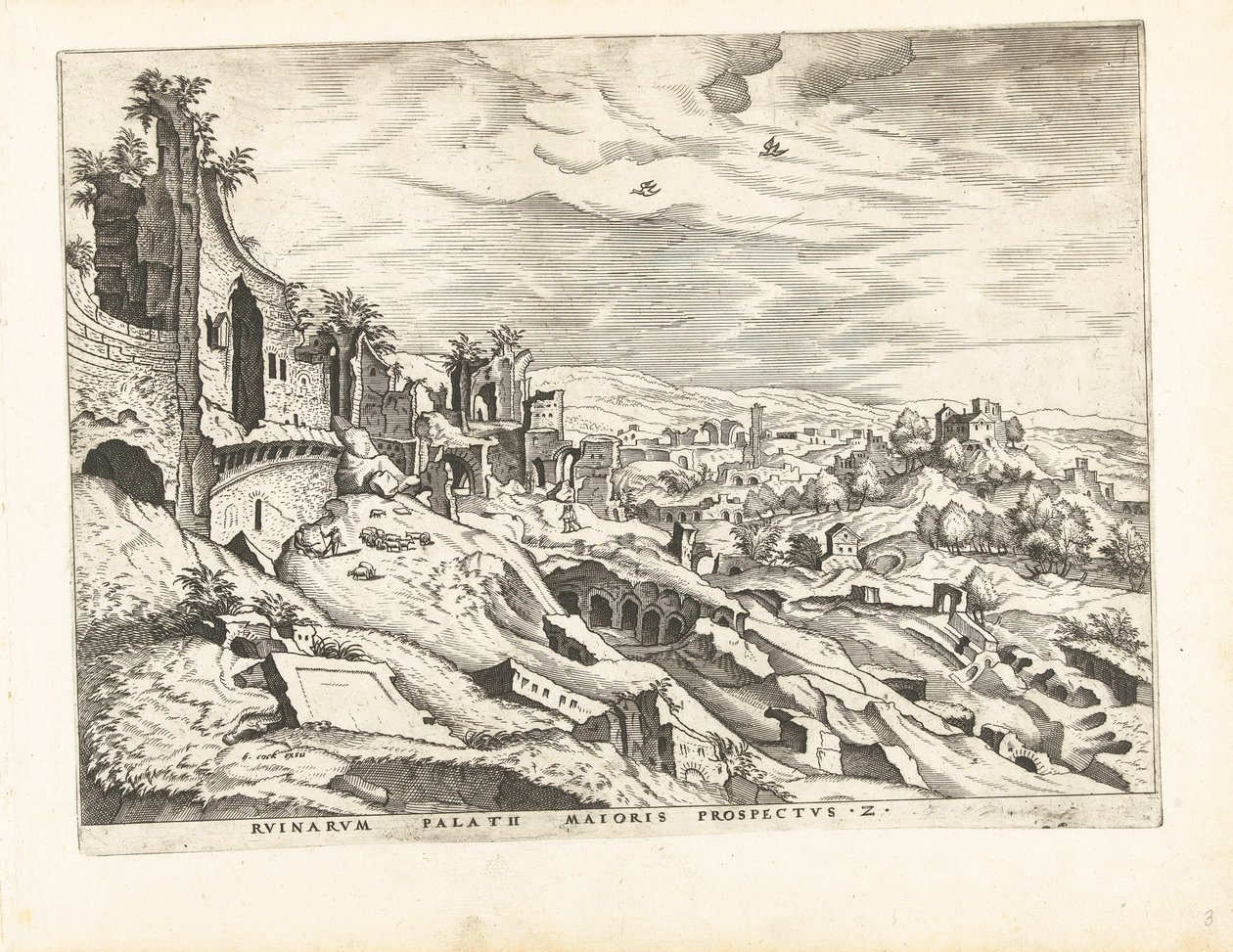 Roma