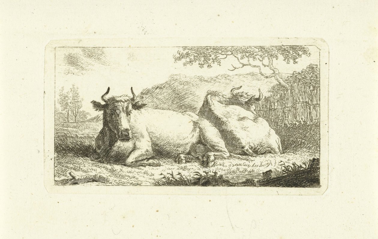 iki yalancı inek by Johannes van Cuylenburgh
