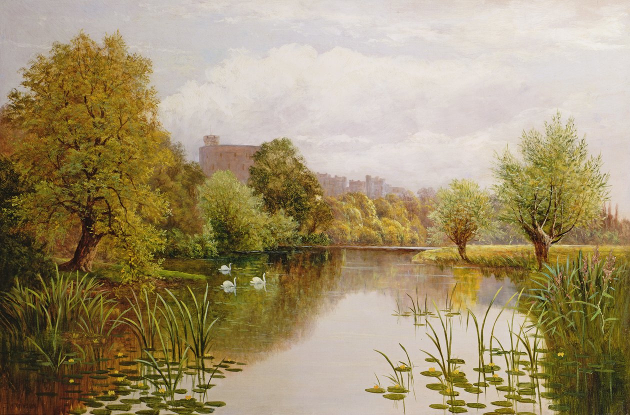 Windsor