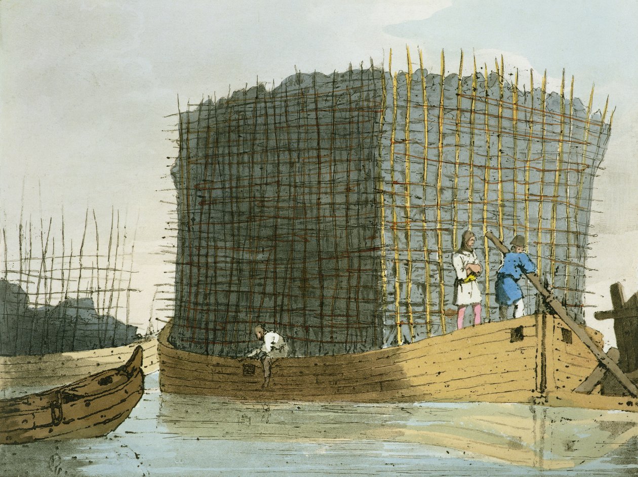 Sanatçı tarafından kazınmış Kömür Kabuğu, 1803 yayınlandı by John Augustus Atkinson