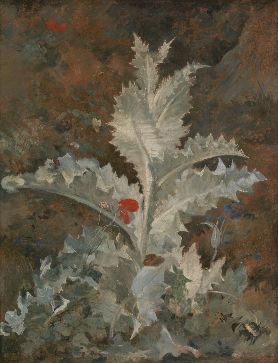 devedikeni by John Crome