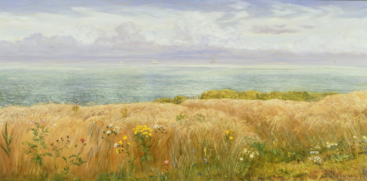 Uçurumlarda Yaz, 1891 by John Brett