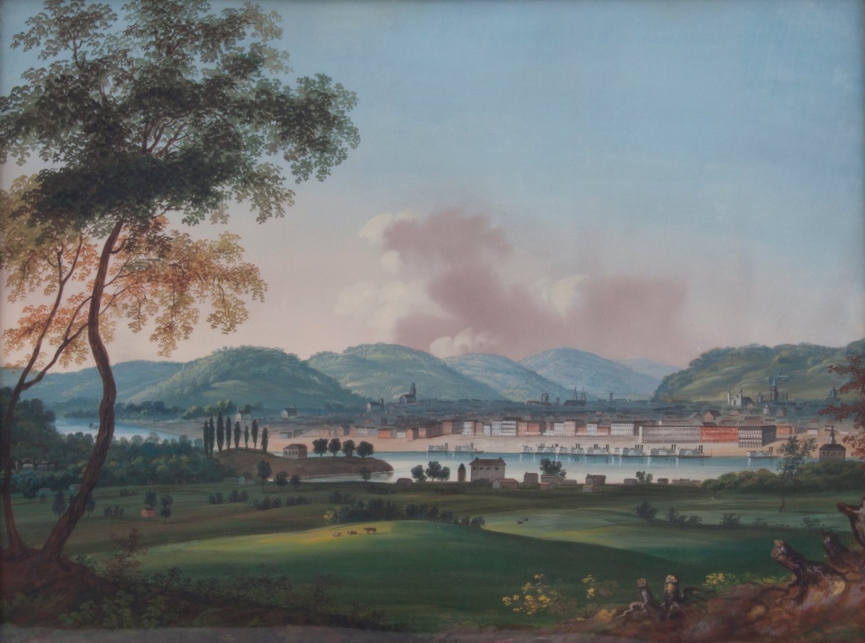 Newport Kışlasının Arkasından Cincinnati by John Caspar Wild